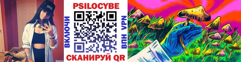 Псилоцибиновые грибы Psilocybe  Холмск 